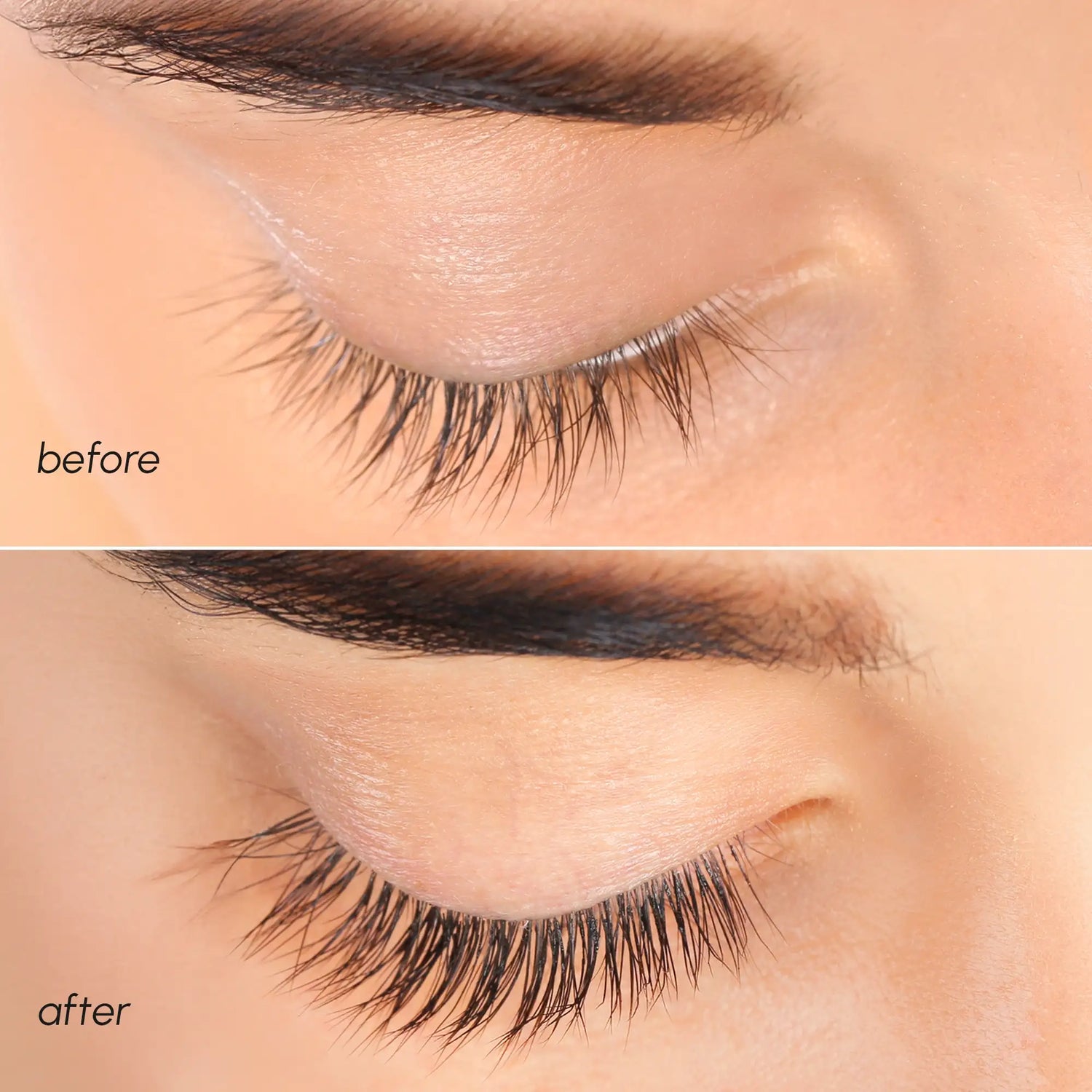 Lash &amp; Brow Growth Serum by Maree