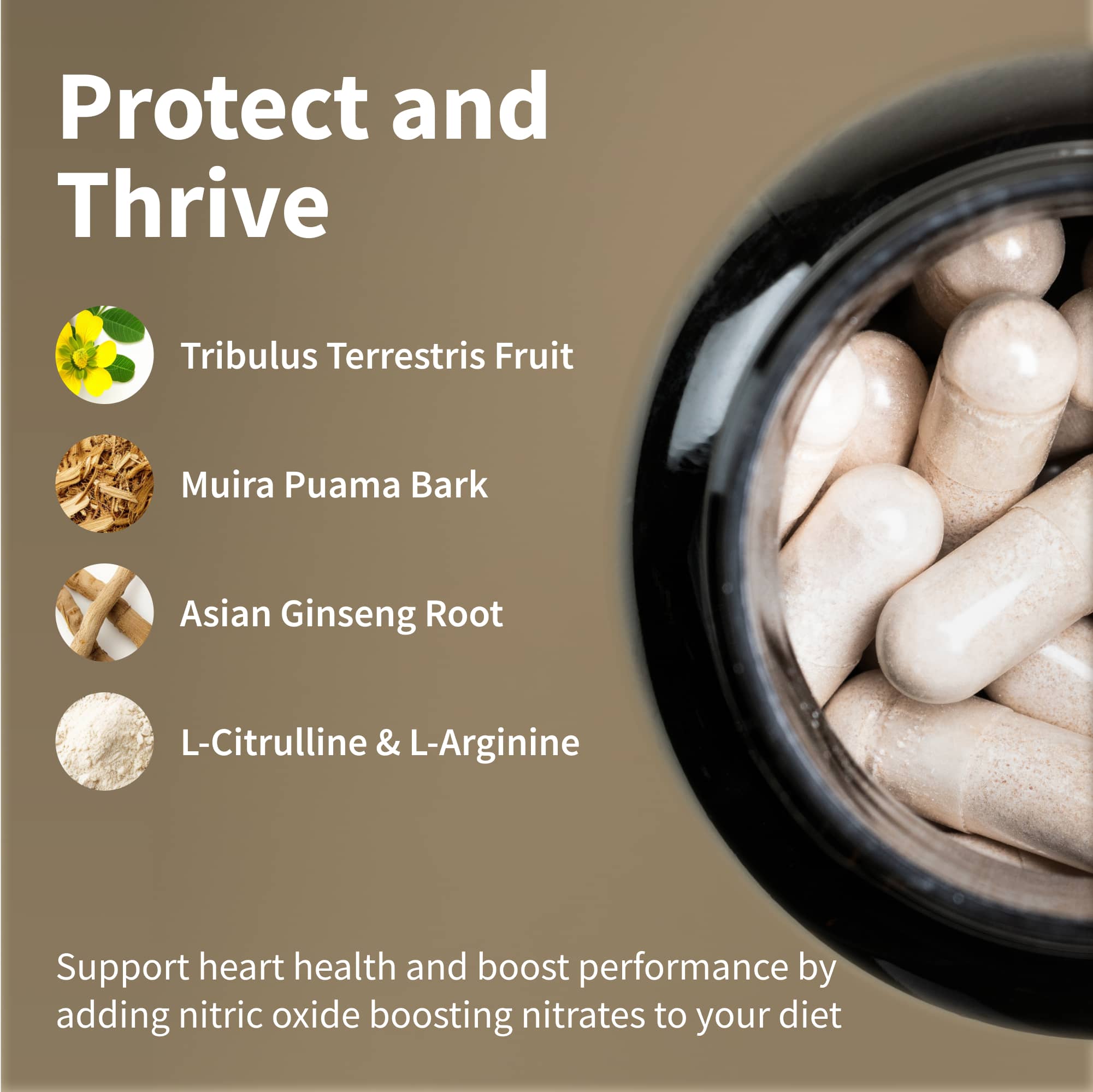 Ultimate Heart Health Package with FREE Shaker by Snap Supplements