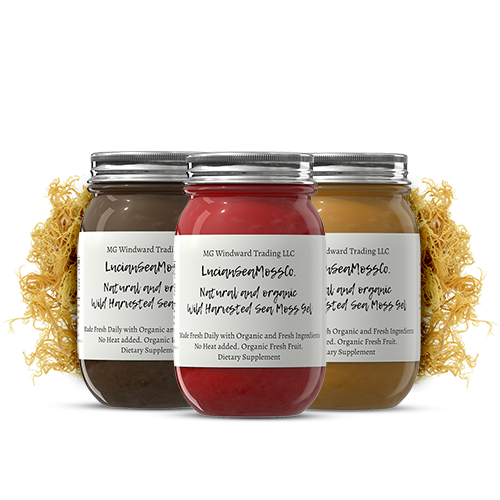 Omega 3 Infused Organic Sea Moss Gel by Seamoss Global