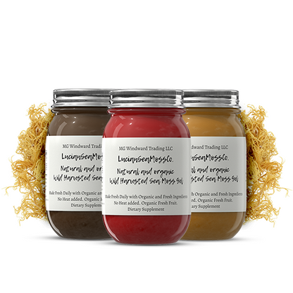 Organic MSM Infused Sea Moss Gel by Seamoss Global