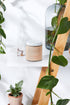 Organic Deodorant / Sensitive 1/2 & 1/2 Deodorant / Organic Deodorant by Butter Me Up Organics
