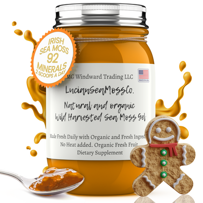 Organic Gingerbread Infused Sea Moss Gel by Seamoss Global