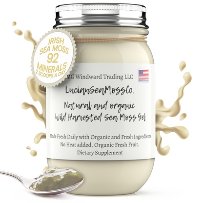 Organic Gold Wild Harvested Sea Moss Gel by Seamoss Global