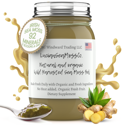 Organic MSM Infused Sea Moss Gel by Seamoss Global