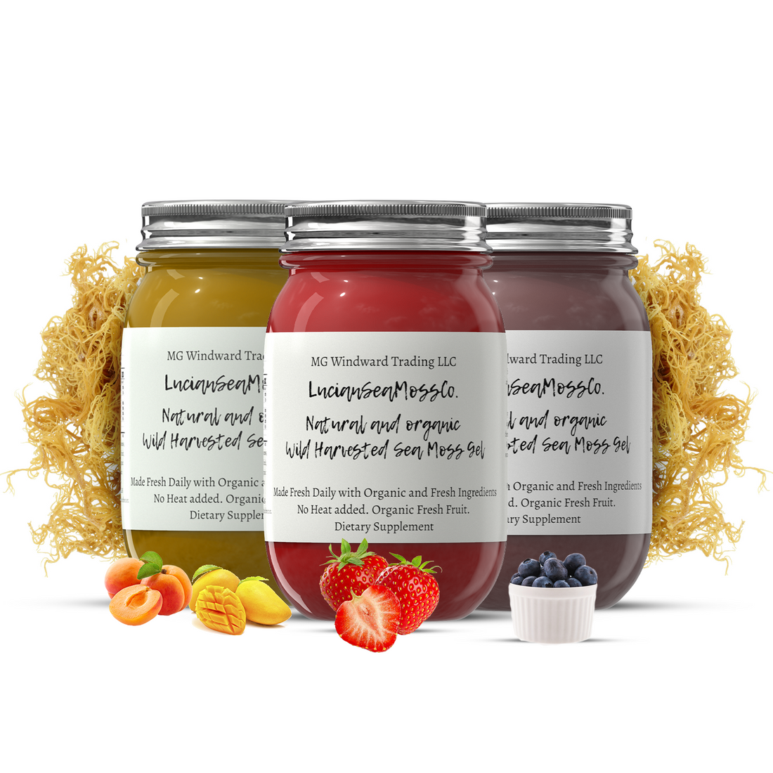 Organic Fruit Infused Mojito Blast Sea Moss Gel Bundle by Seamoss Global