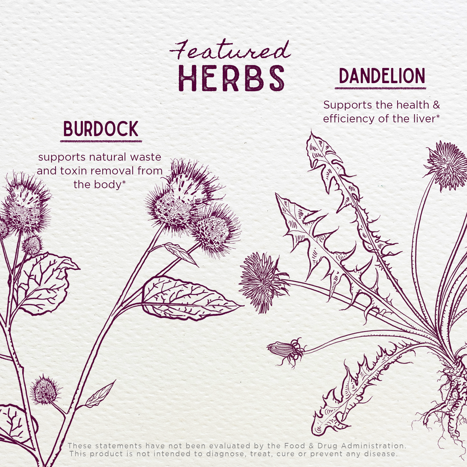 Party Prep, For a Better Morning After by WishGarden Herbs