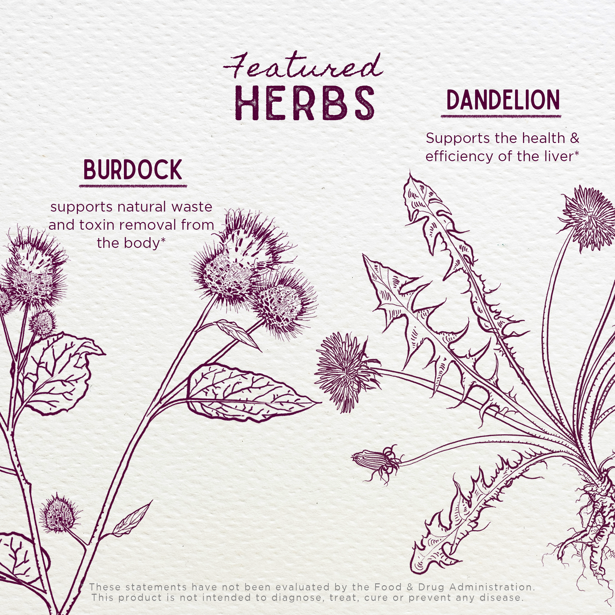 Party Prep, For a Better Morning After by WishGarden Herbs