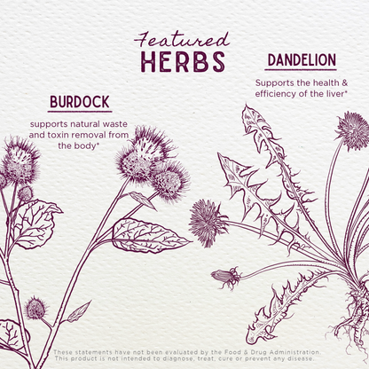 Party Prep, For a Better Morning After by WishGarden Herbs
