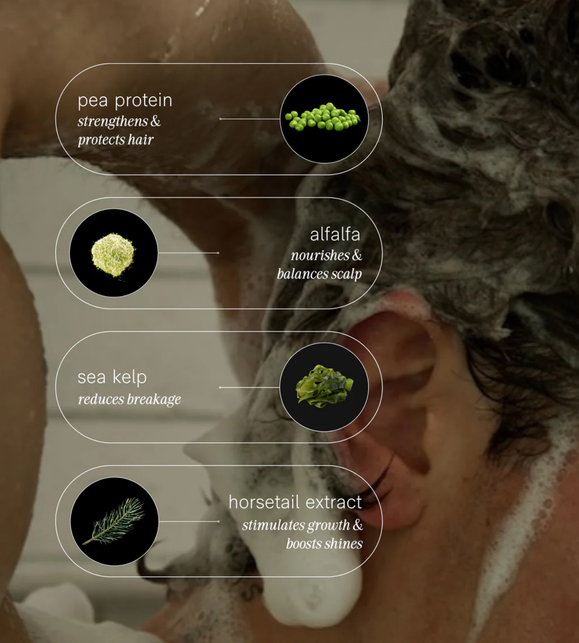 Creamy Shampoo by JACK HENRY