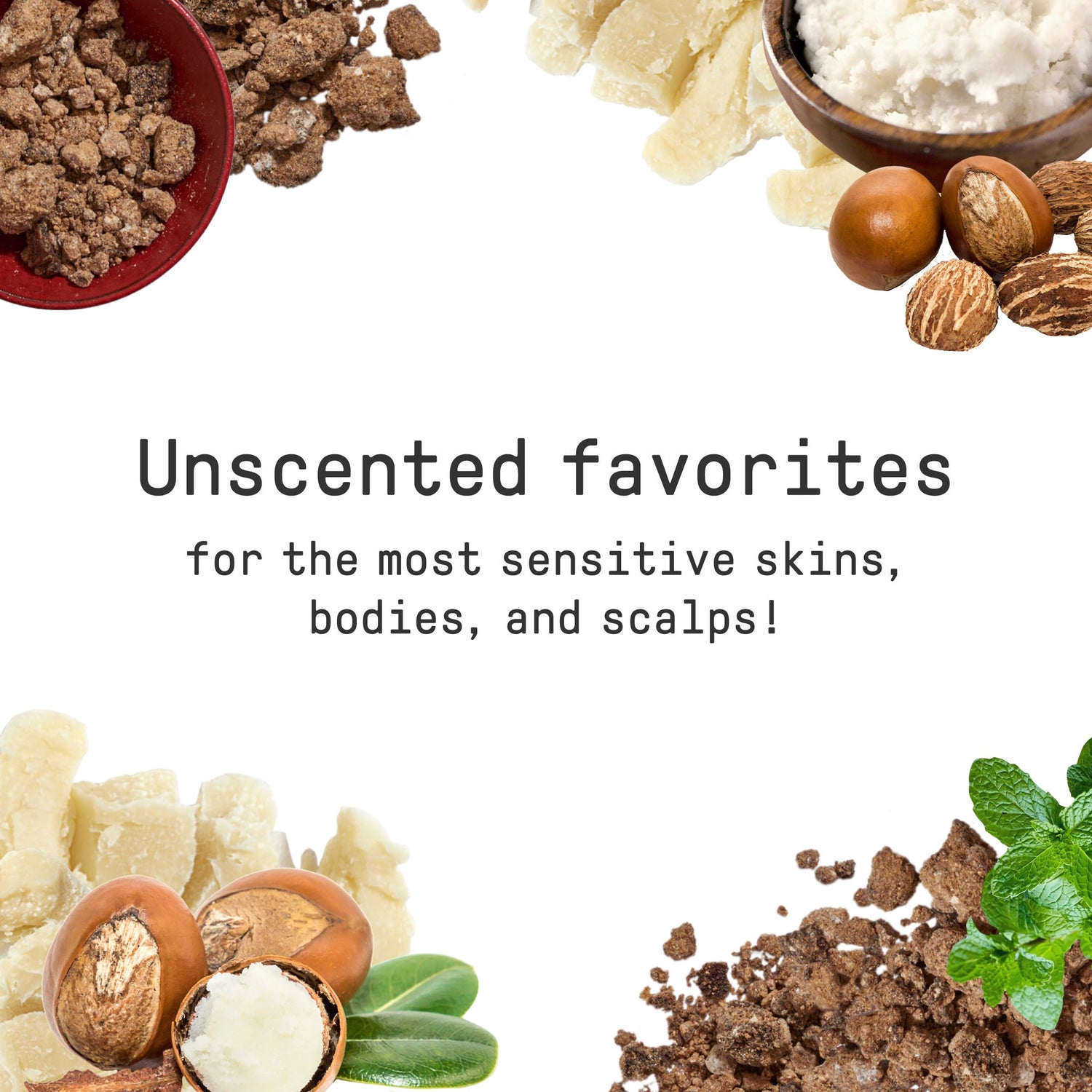 Pure Unrefined Shea Butter - Unscented by Alaffia