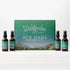Postpartum Essentials Kit with Gift Box by WishGarden Herbs