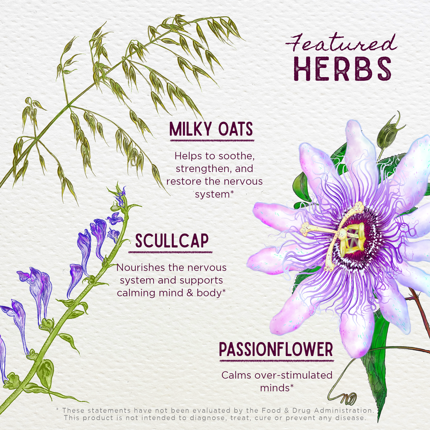 Quiet Time, Calm &amp; Center For Kids by WishGarden Herbs