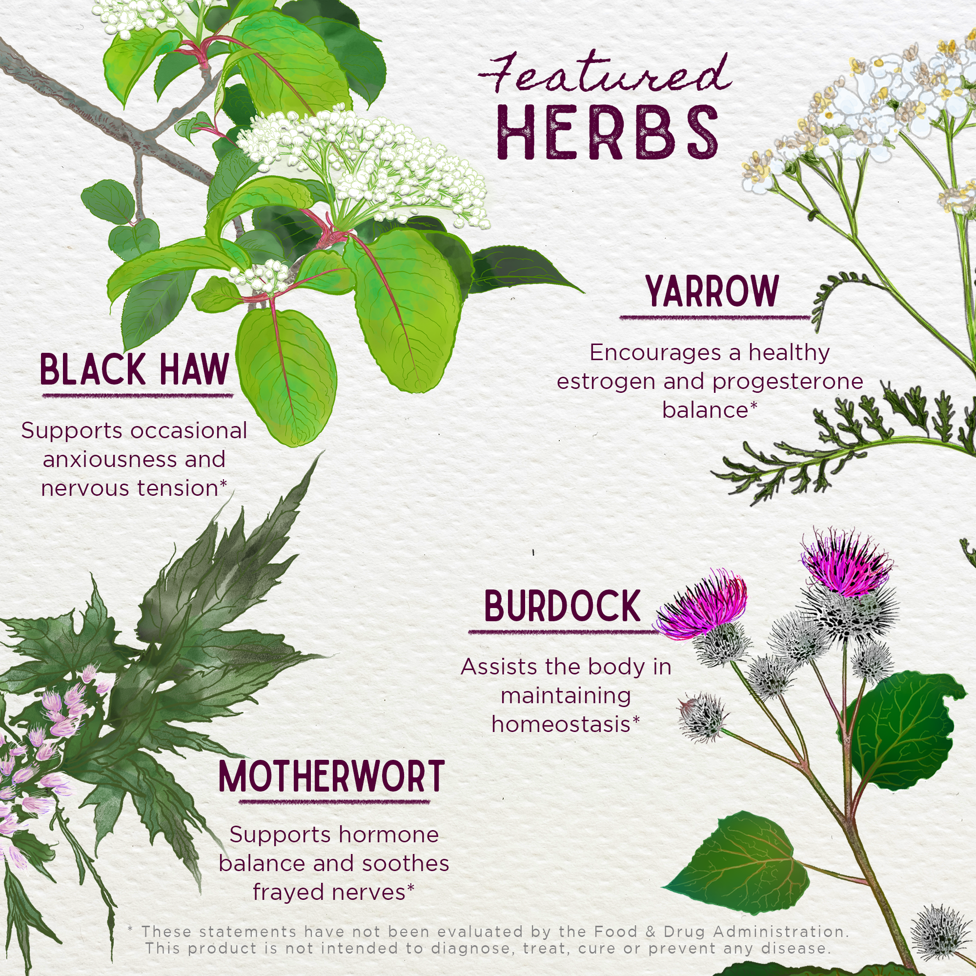 ReBalance, After Birth Hormonal by WishGarden Herbs