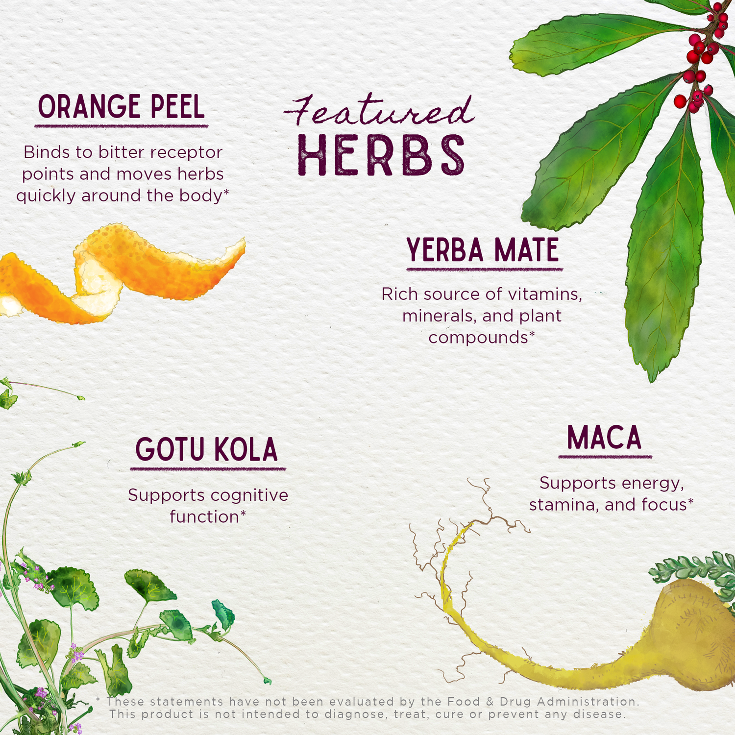 Rise &amp; Energize, Daily Energy Boost by WishGarden Herbs