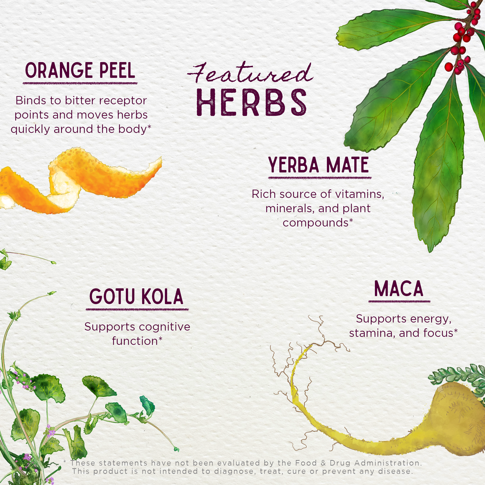 Rise &amp; Energize, Daily Energy Boost by WishGarden Herbs