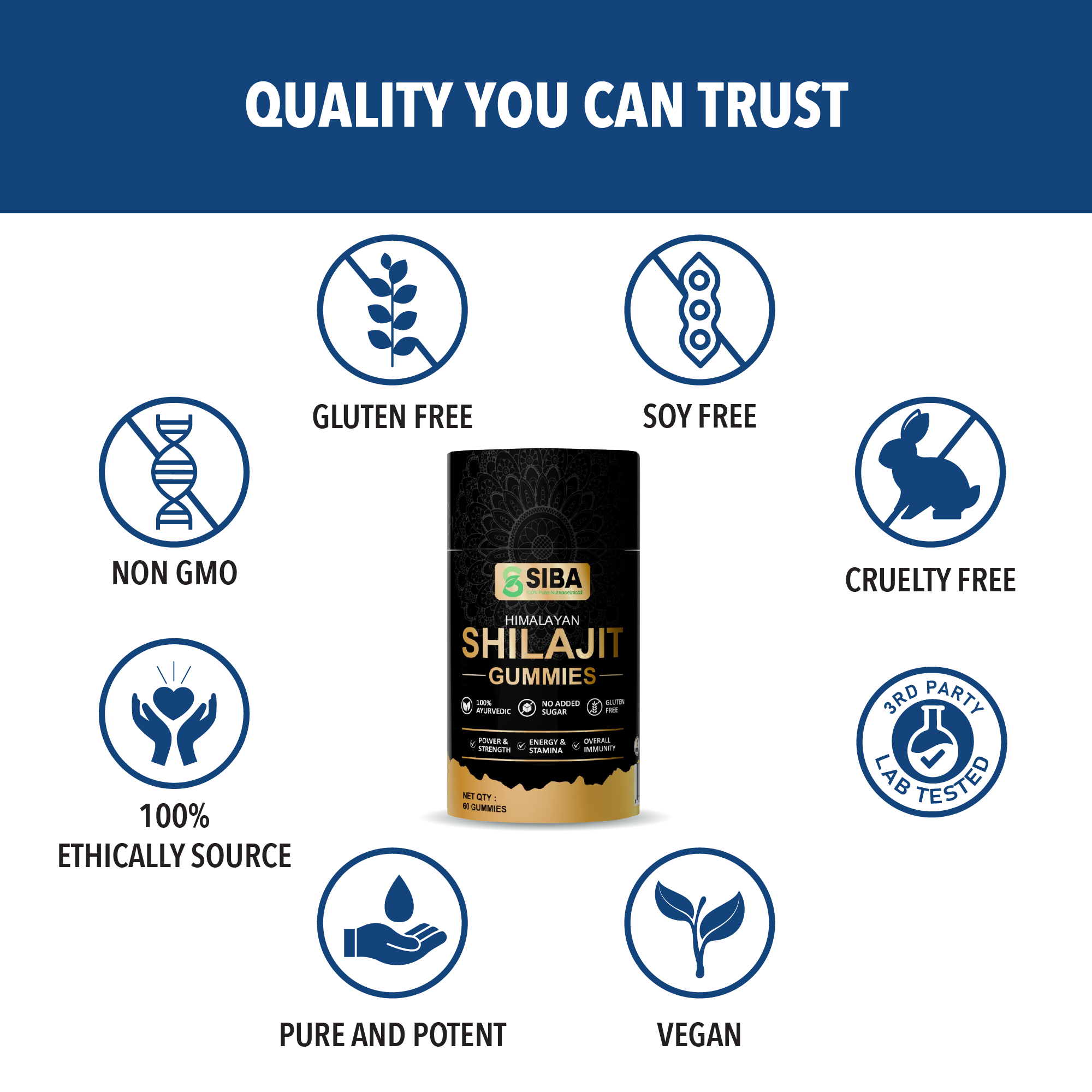 Shilajit Gummies by Siba Vitamins Store
