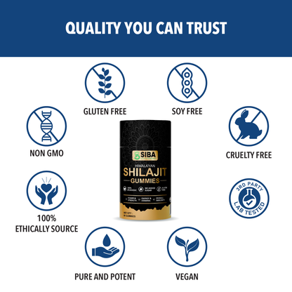 Shilajit Gummies by Siba Vitamins Store