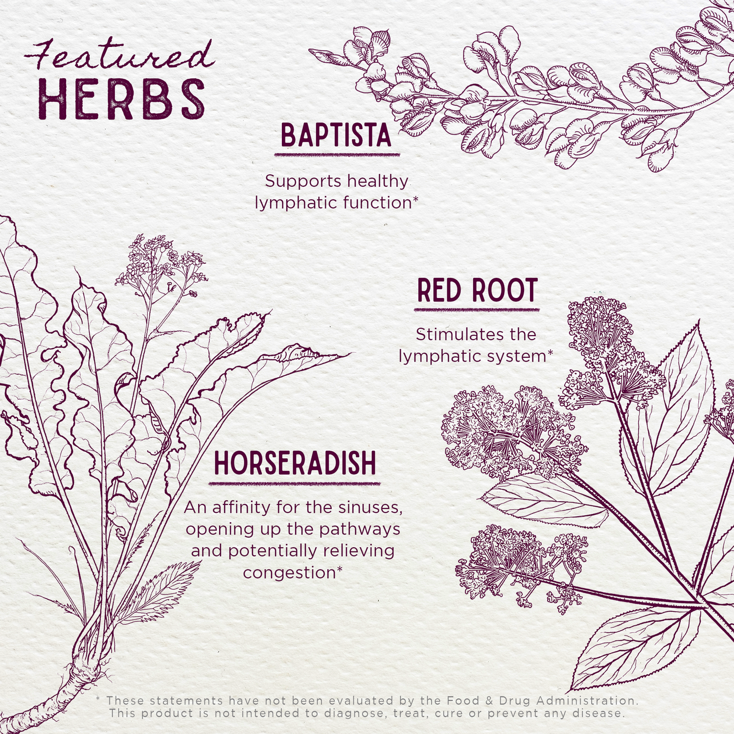 Kick-Ass Sinus, Move &amp; Soothe by WishGarden Herbs
