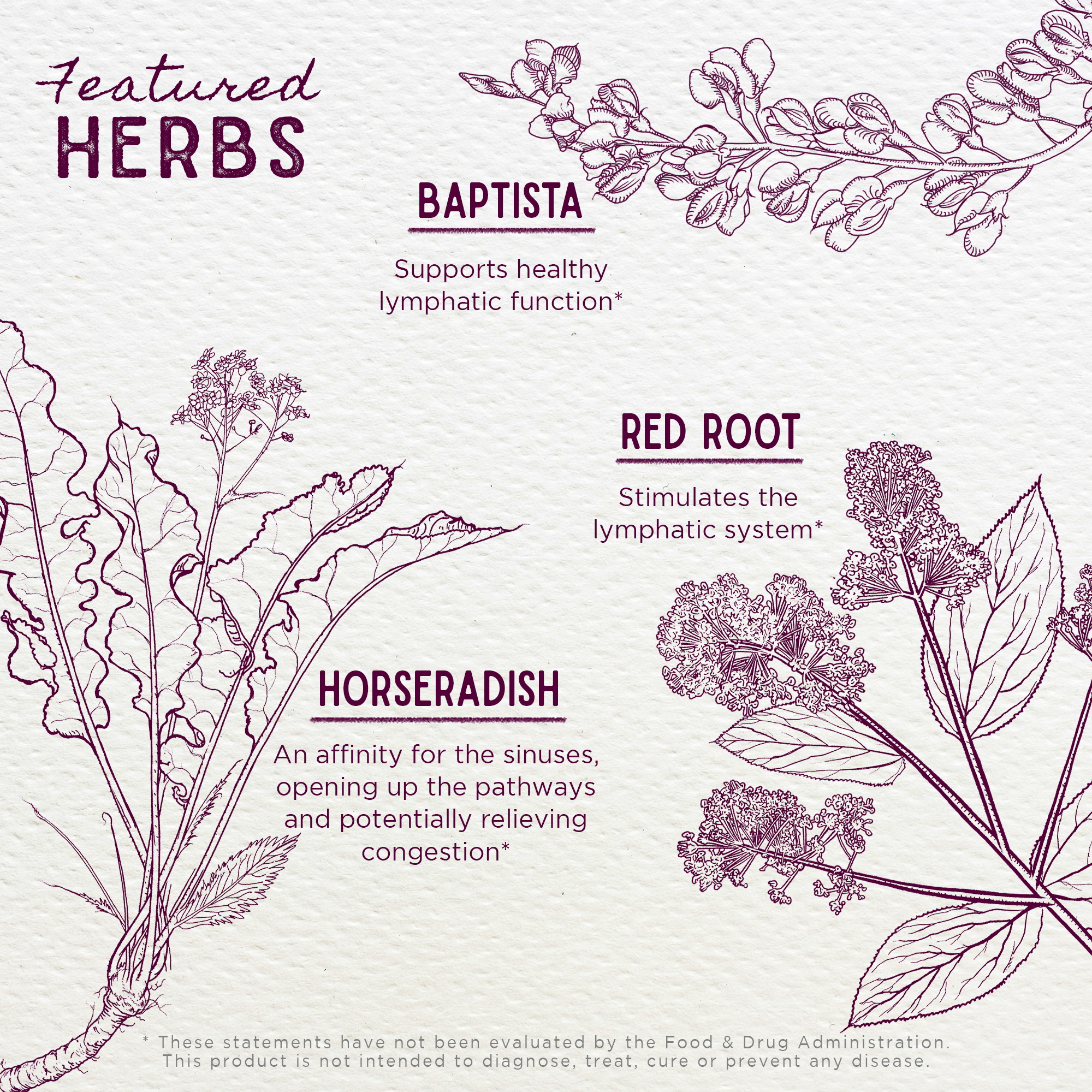 Kick-Ass Sinus, Move &amp; Soothe by WishGarden Herbs