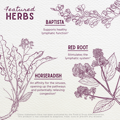 Kick-Ass Sinus, Move &amp; Soothe by WishGarden Herbs