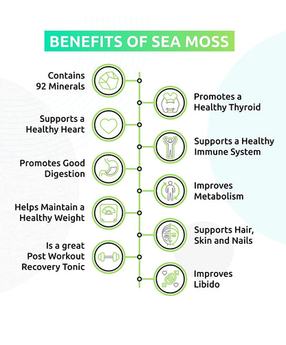 Rapid Immune Support Kit for Adults | Elderberry &amp; Sea Moss Gel – Fast-Acting Immunity Booster