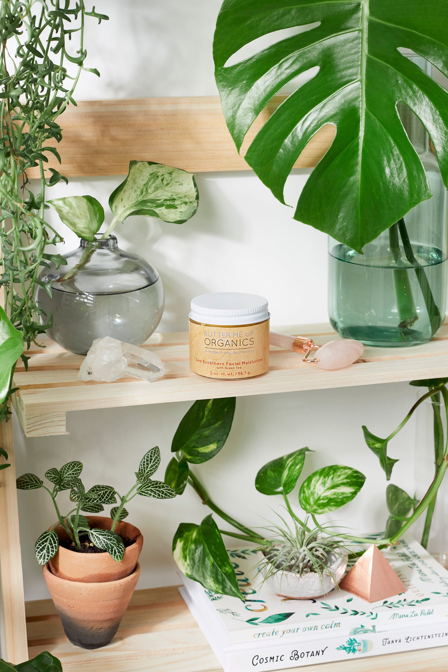 Sea Buckthorn Facial Moisturizer / Organic Face Moisturizer / Facial Care / Face Nutrition by Butter Me Up Organics