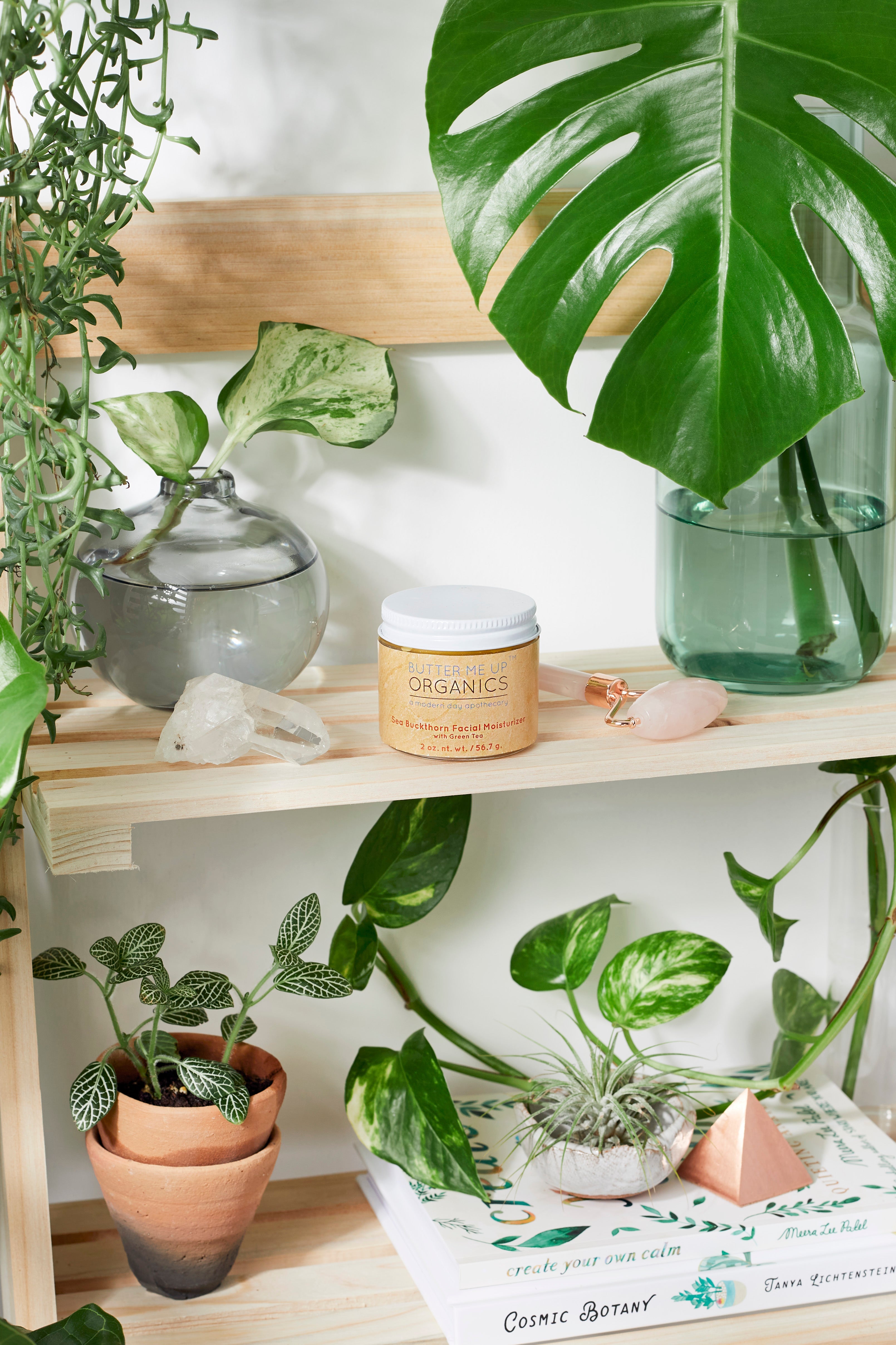 Sea Buckthorn Facial Moisturizer / Organic Face Moisturizer / Facial Care / Face Nutrition by Butter Me Up Organics