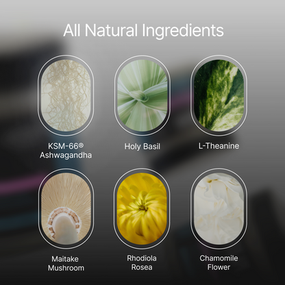 ZenX: Mood Support Nootropic by Stoned Ape, Inc