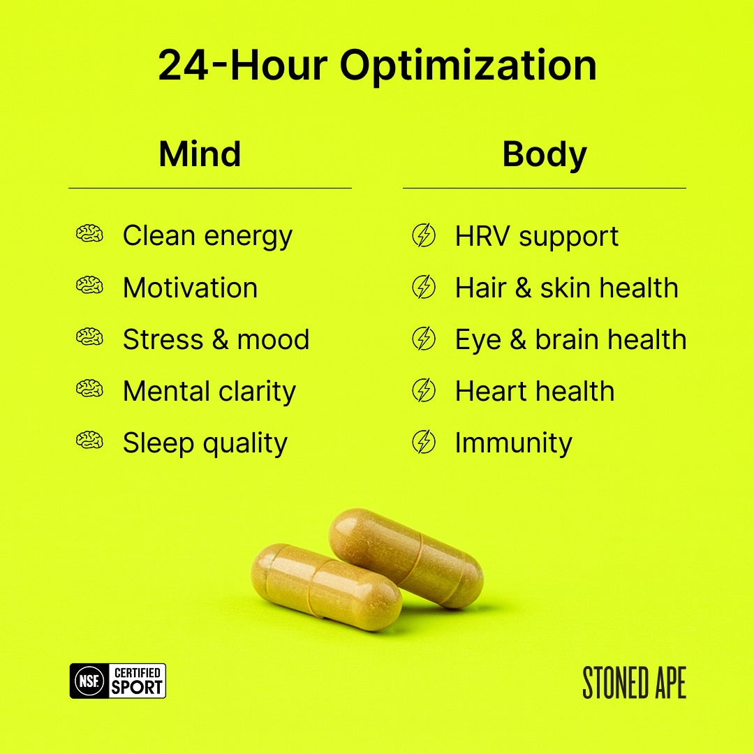 Nootropack: Our Nootropic Bundle by Stoned Ape, Inc