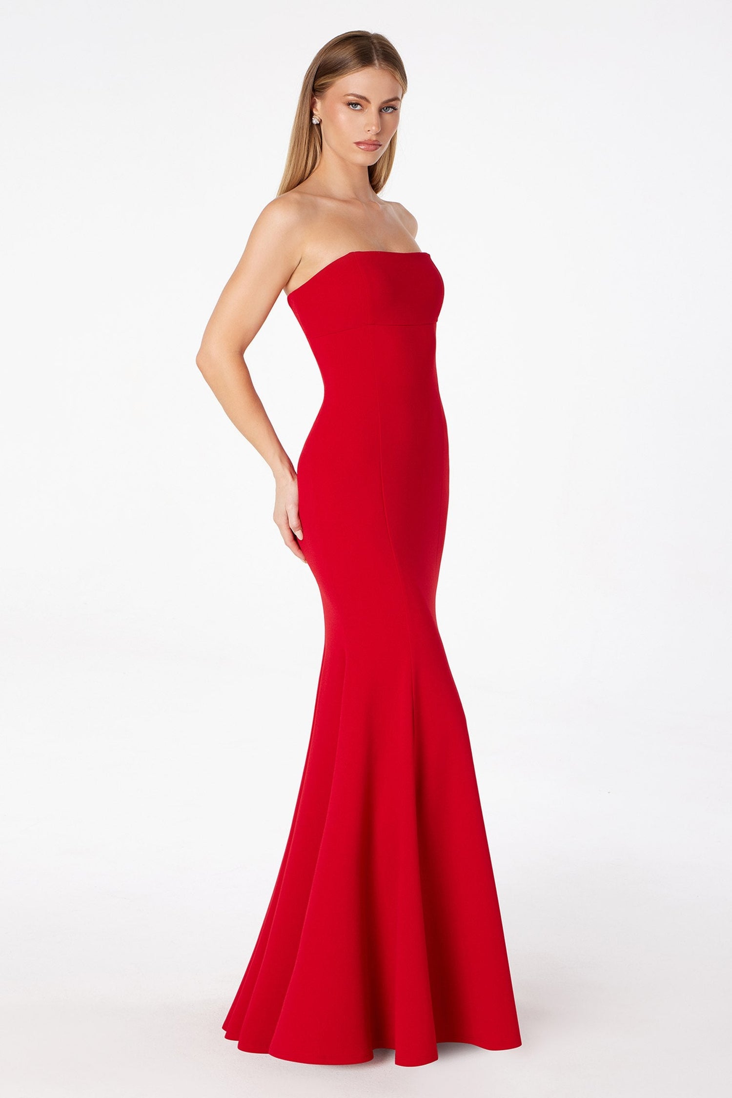 Astee T2010 Fitted Strapless Mermaid Gown by DiscountDressShop
