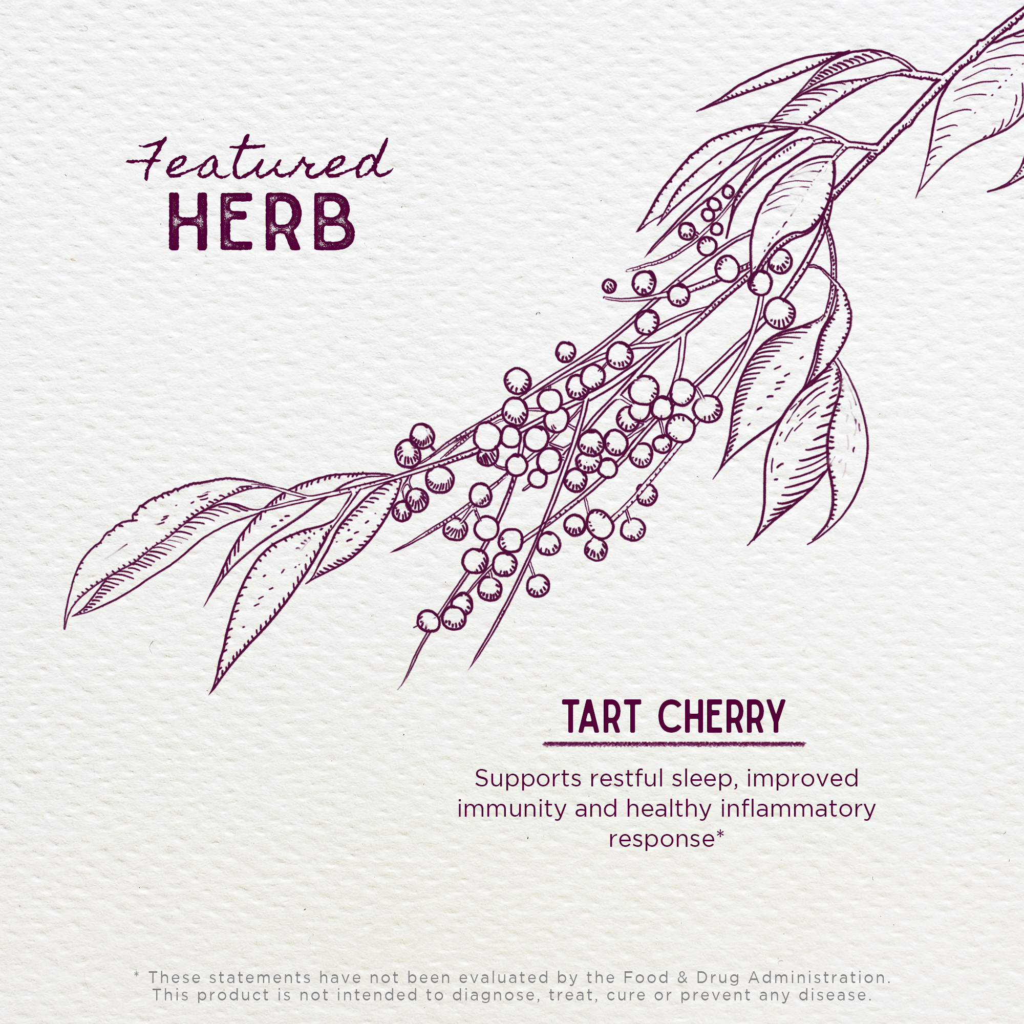 Tart Cherry Tincture by WishGarden Herbs