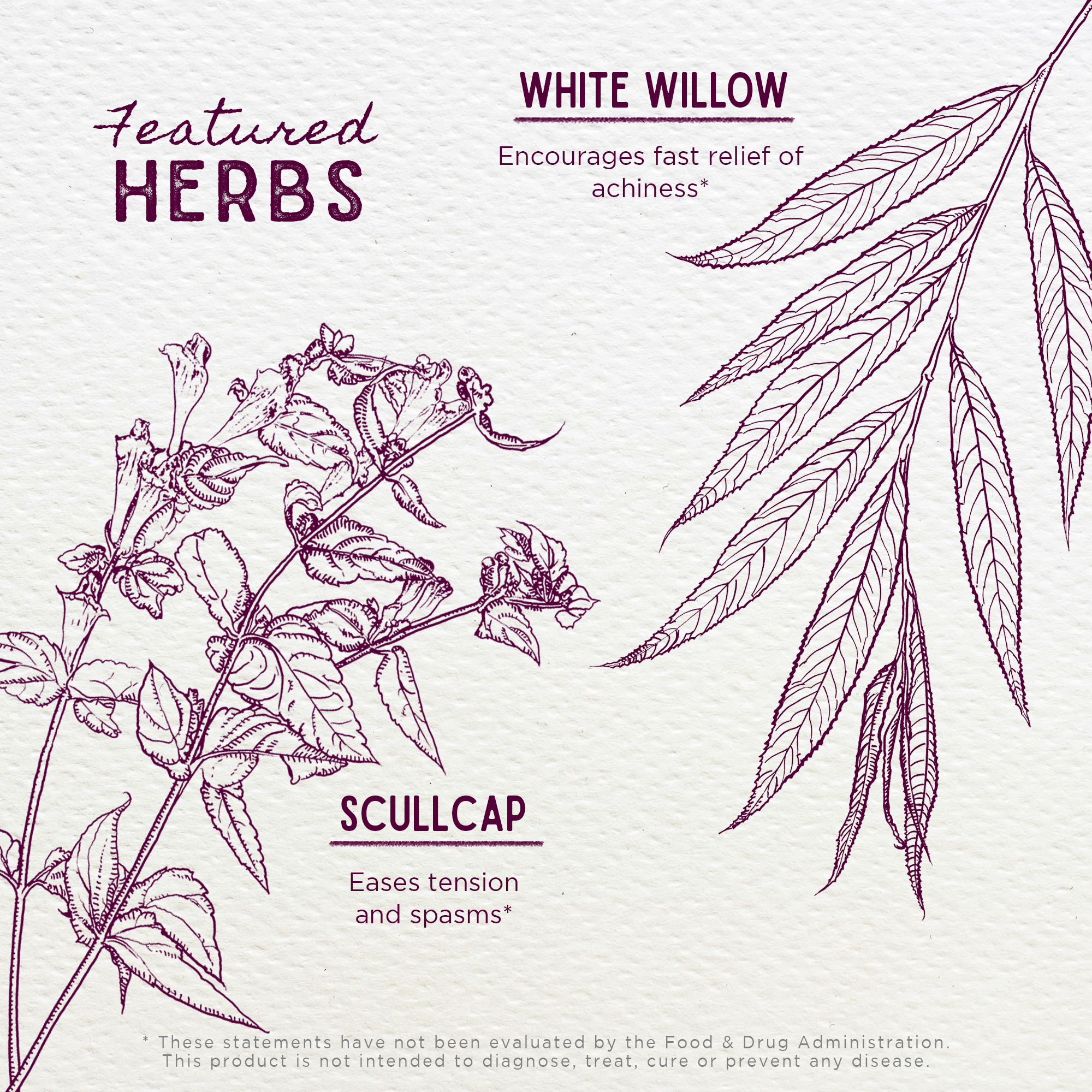 Cranial Comfort, Tension Release by WishGarden Herbs