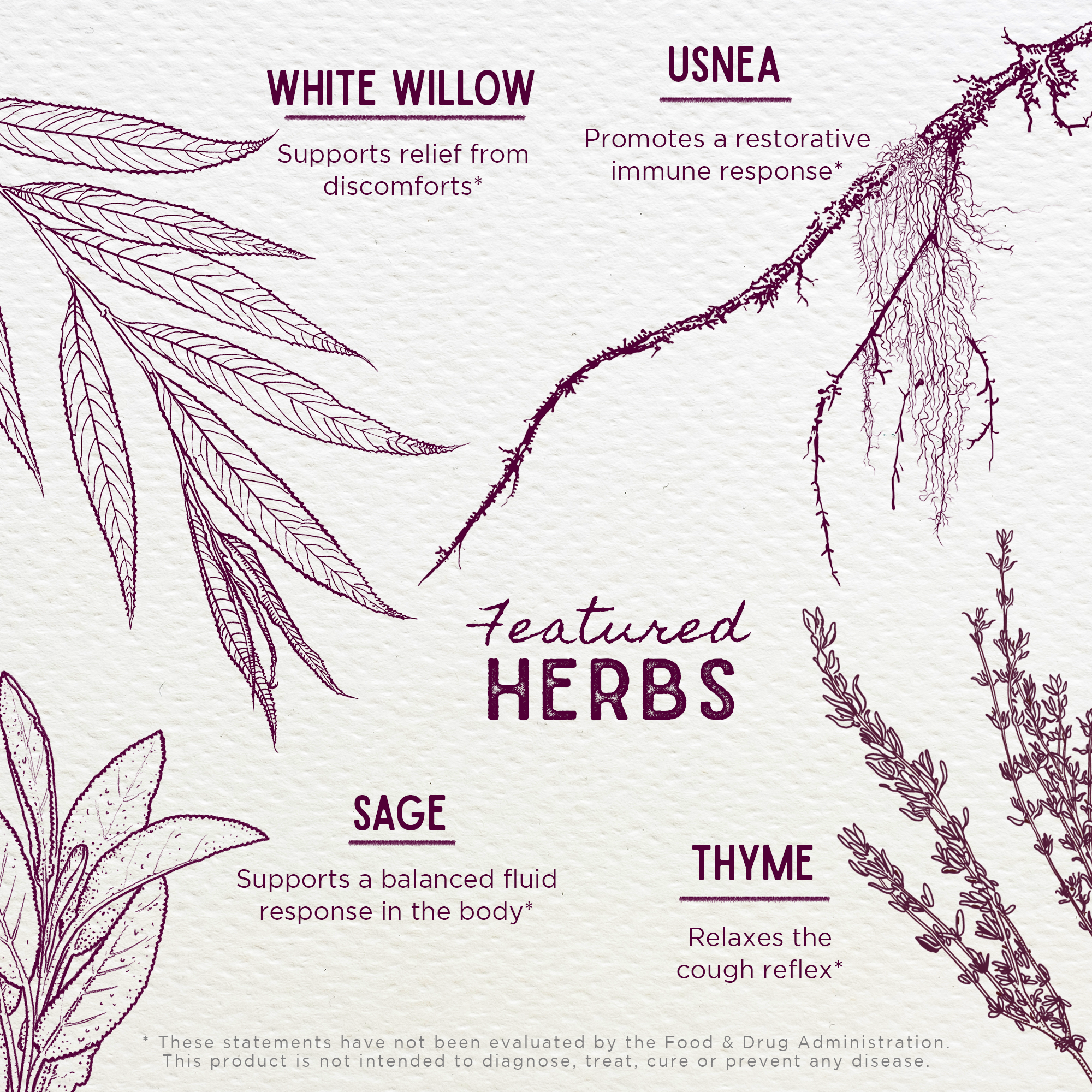 Kick-Ass Throat Spray by WishGarden Herbs