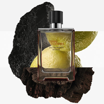 Terre D&