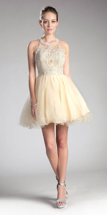Ladivine UJ0119 Short Appliqued Bodice Halter Tulle Skirt Dress by DiscountDressShop
