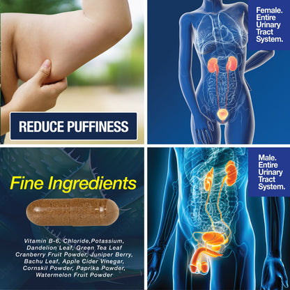 Water Away - Water Retention and Flushing, Aids in Water Relief &amp; Water Loss by Saint Mingiano - Supplements &amp; Wellness Dedicated to Holistic Health