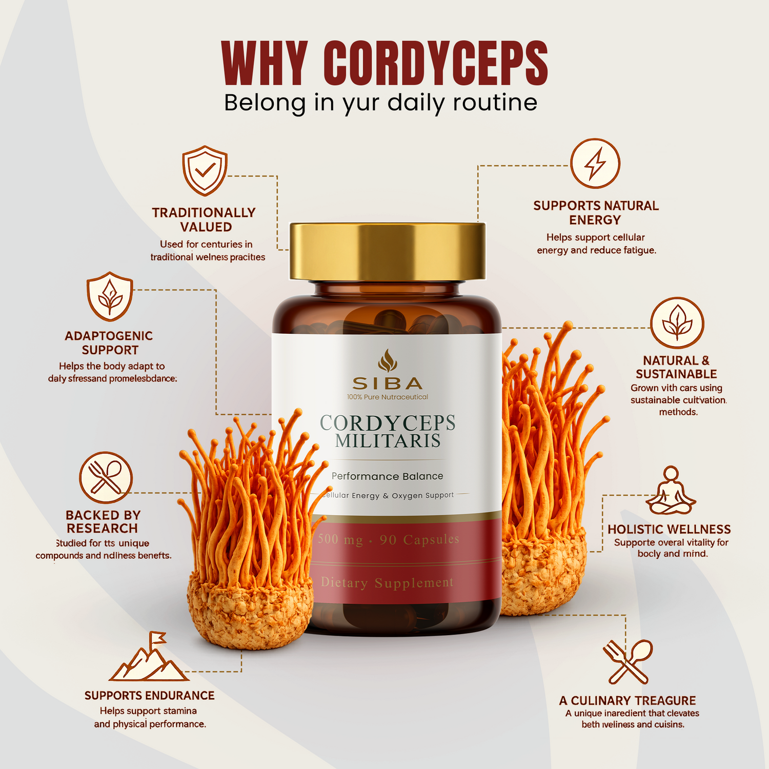 Cordyceps Militaris Mushroom Capsules by Siba Vitamins Store