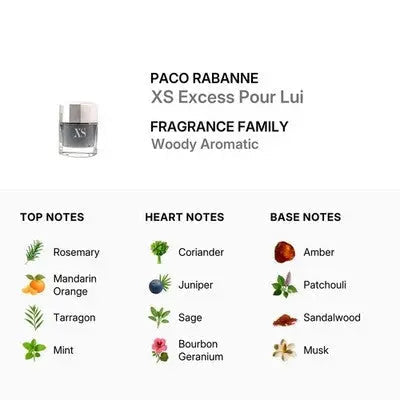 XS By Paco Rabanne For Men 3.4oz EDT Spray by perfumesandrea