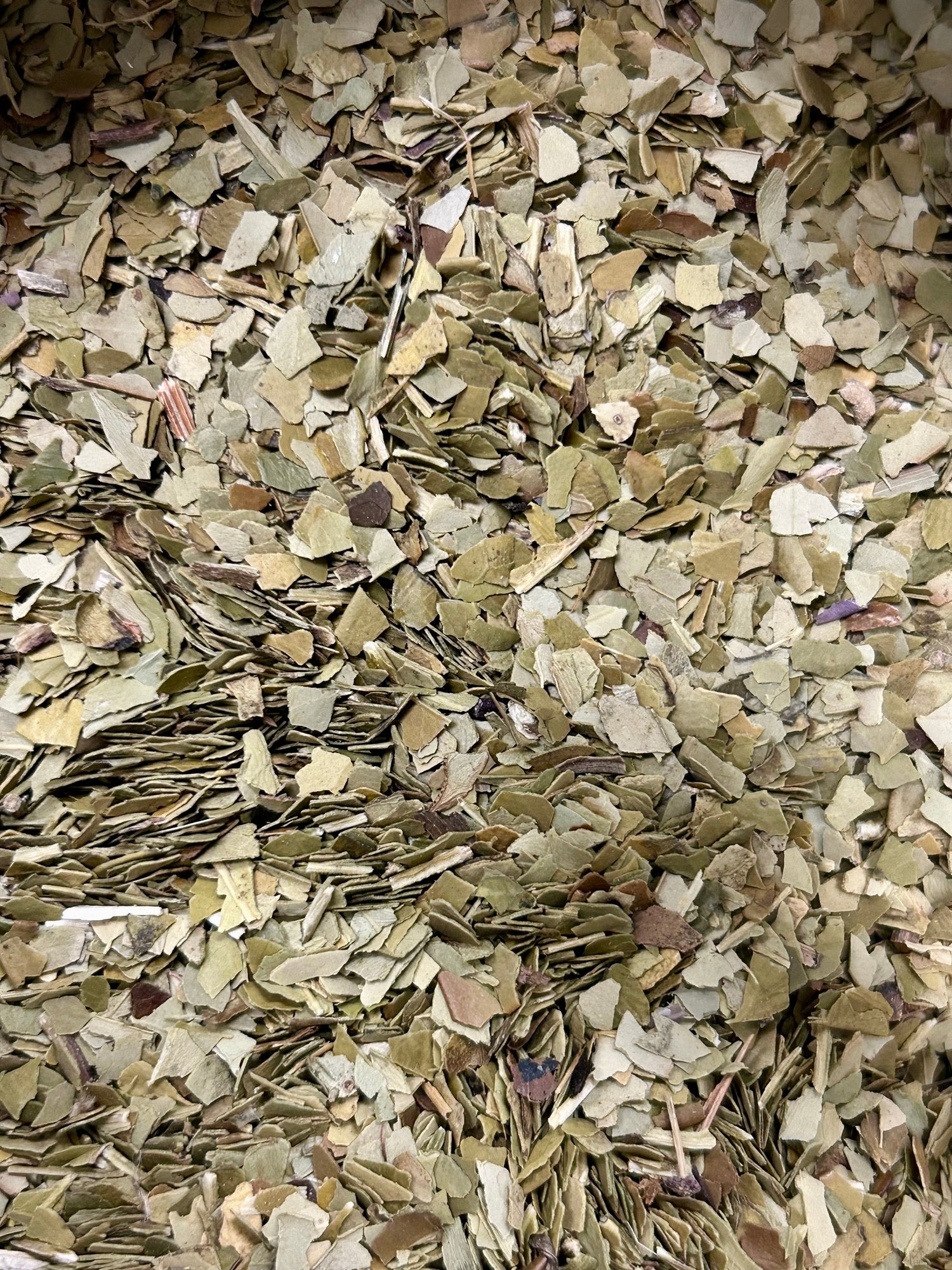 Organic Yerba Mate - 1oz by Dragonfly Elements