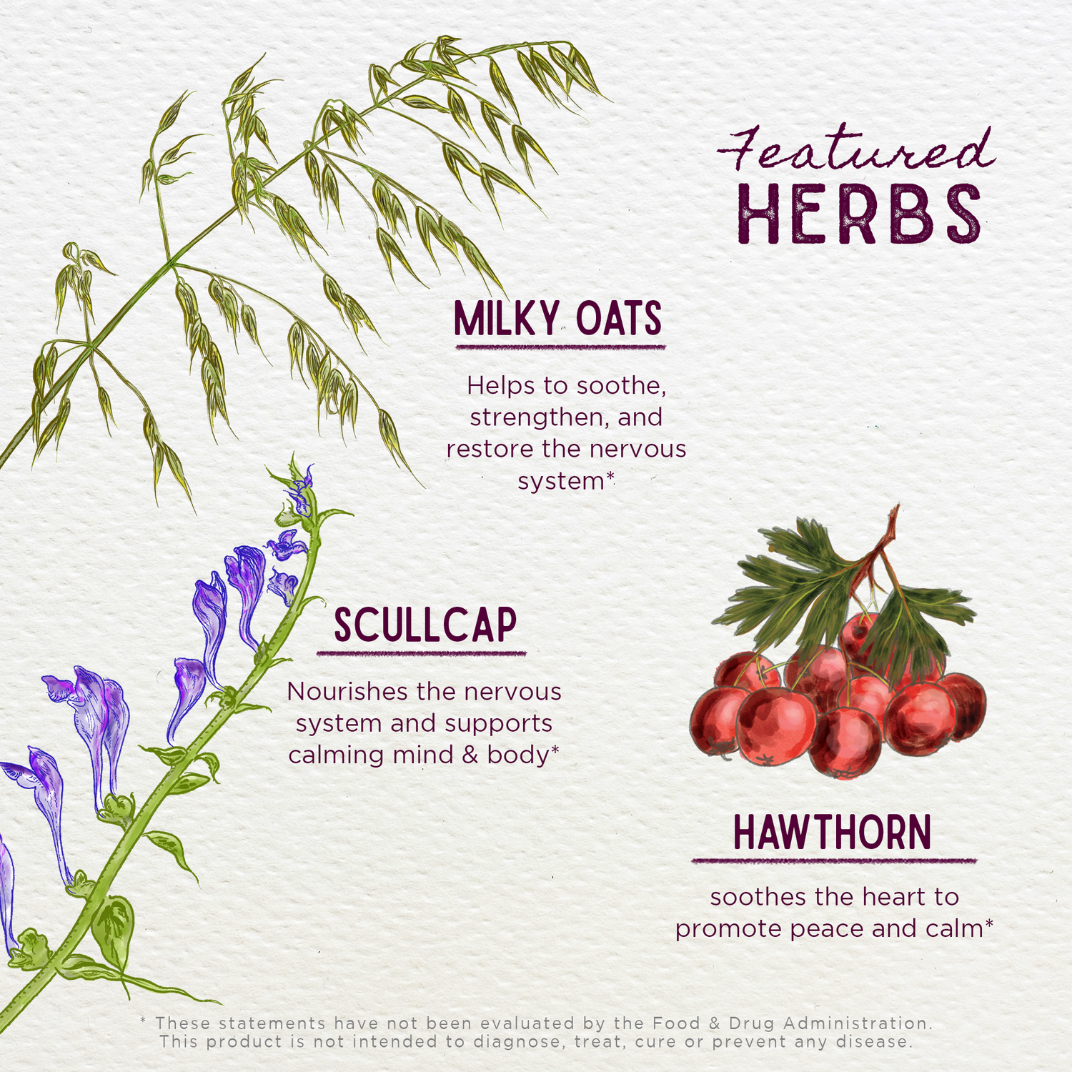 Sleepy Nights &amp; Fresh Mornings For Kids by WishGarden Herbs