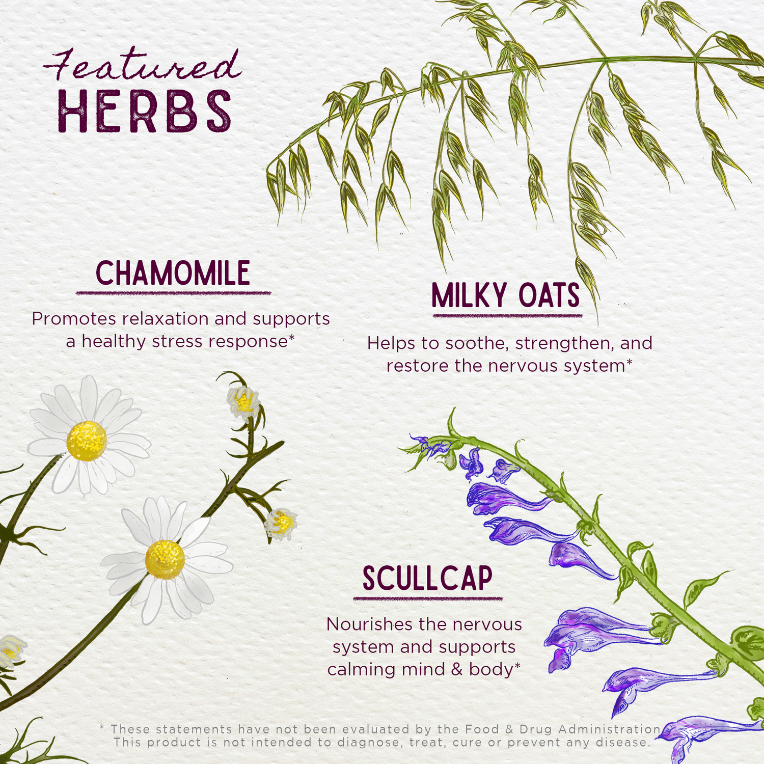 Sleepy Nights &amp; Fresh Mornings for Pregnancy by WishGarden Herbs