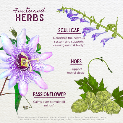 Sleepy Nights &amp; Fresh Mornings by WishGarden Herbs