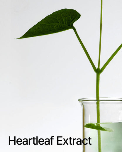 ANUA Heartleaf 80% Moisture Soothing Ampoule by AsiaBeautyMall