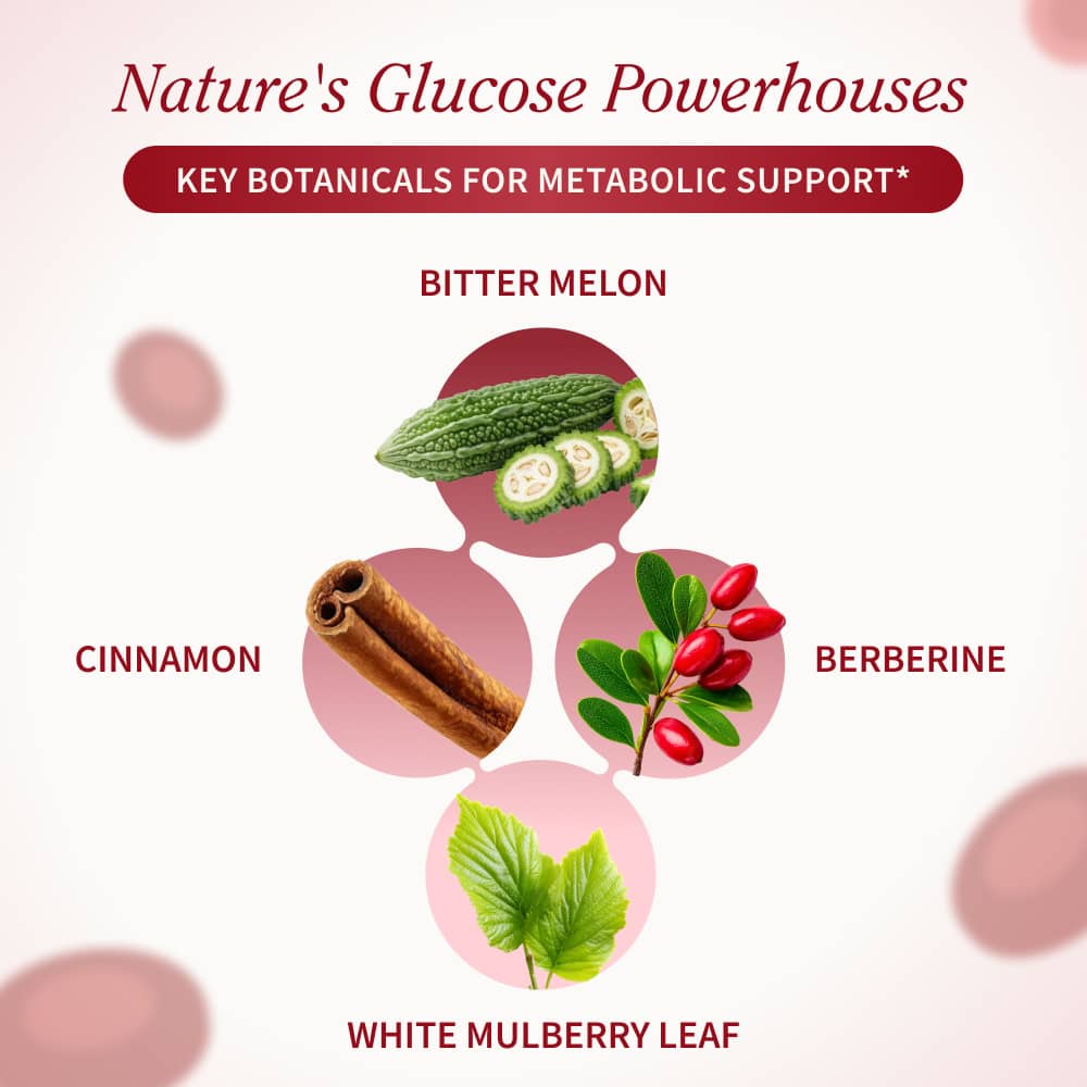 Heart Health, Blood Sugar &amp; Cholesterol Health Bundle by Snap Supplements