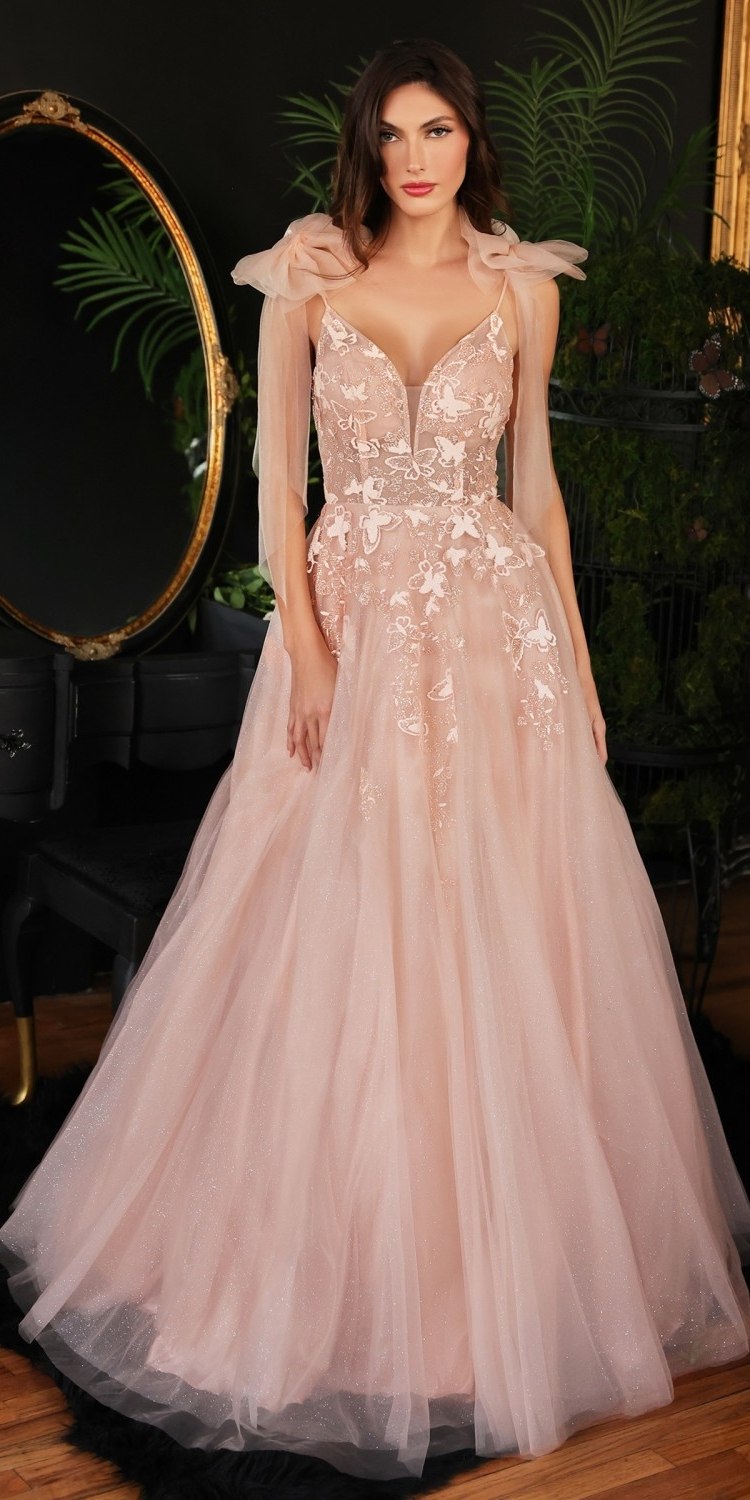 Ladivine CB097 Long A-Line Tulle Gown with Floral Detail by DiscountDressShop