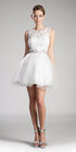 CLEARANCE - Cinderella Divine CD0117 Lace Beaded Short Dress (Size 2XL) by DiscountDressShop