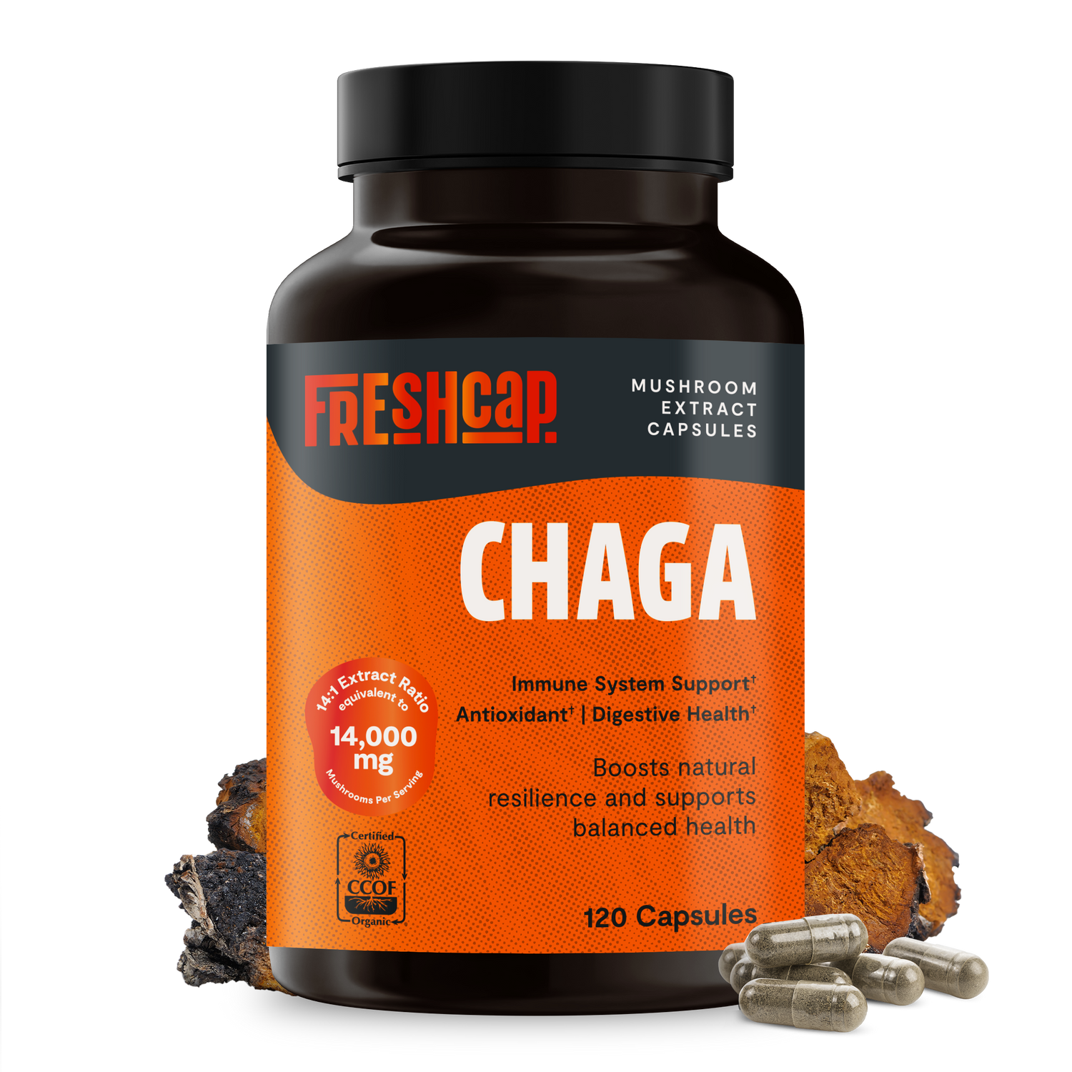 Chaga Mushroom Extract Capsules by FreshCap Mushrooms