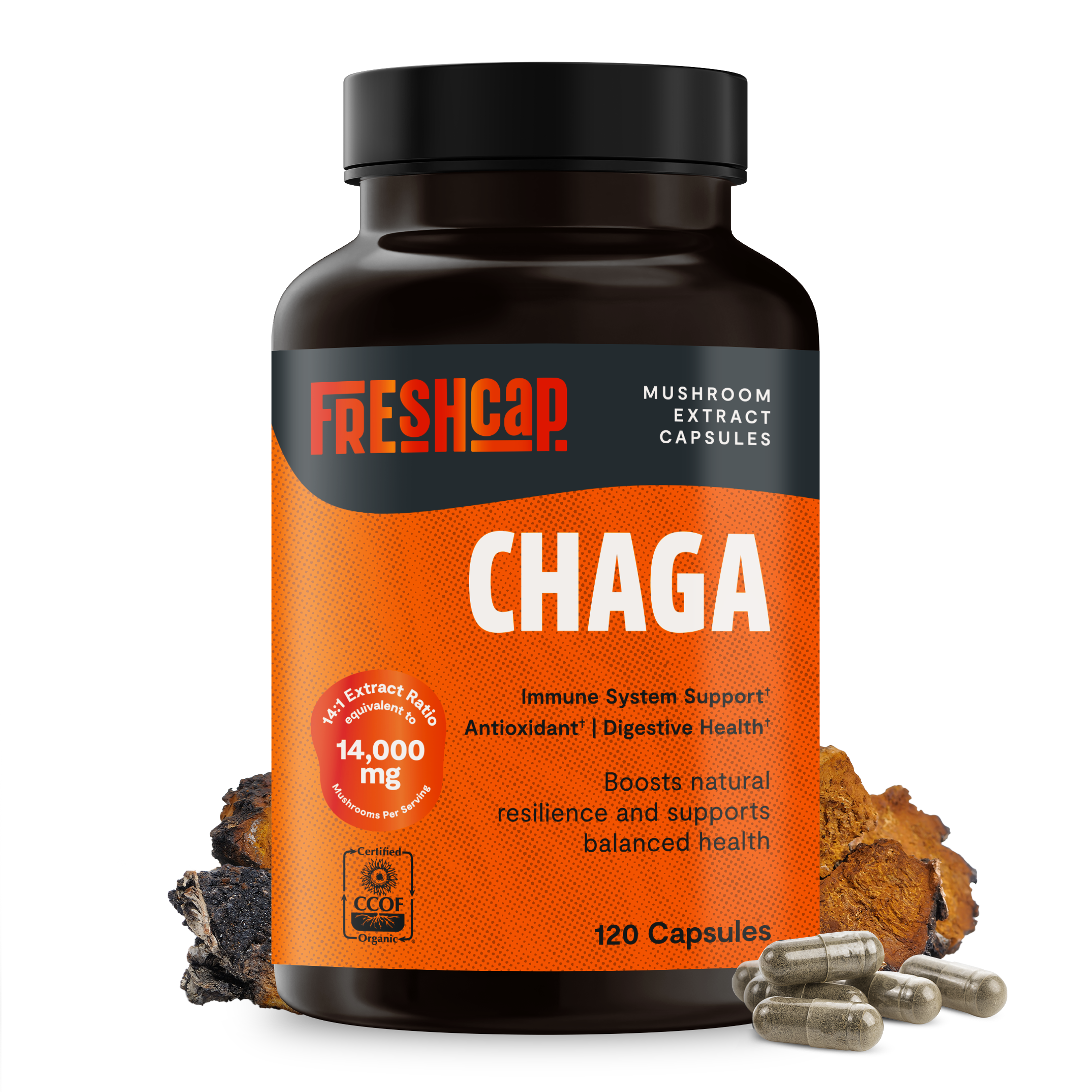 Chaga Mushroom Extract Capsules by FreshCap Mushrooms