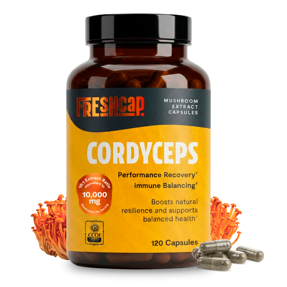 Organic Cordyceps Mushroom Supplement Capsules by FreshCap Mushrooms