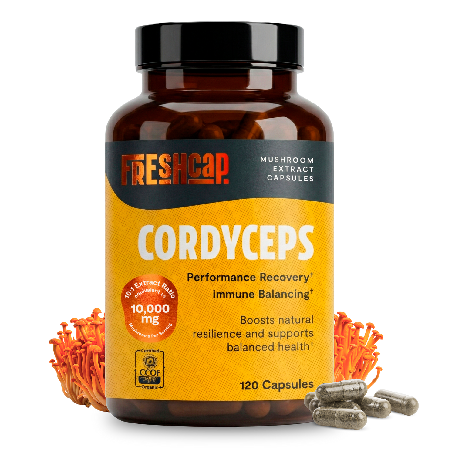Organic Cordyceps Mushroom Supplement Capsules by FreshCap Mushrooms